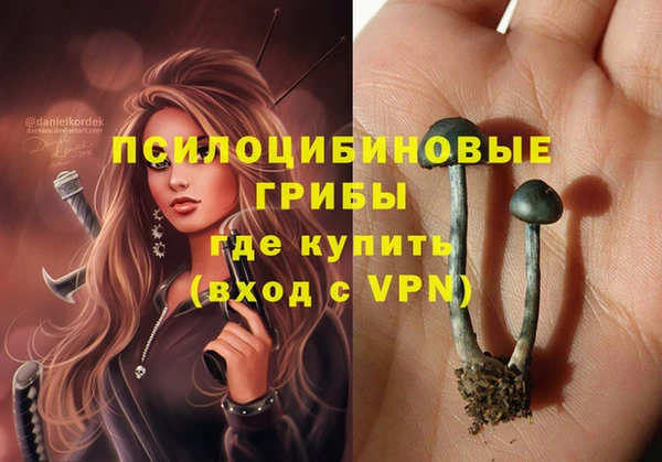 гидропоника Михайловка