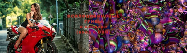 не бодяженный Михайлов