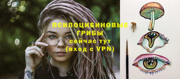 не бодяженный Михайлов