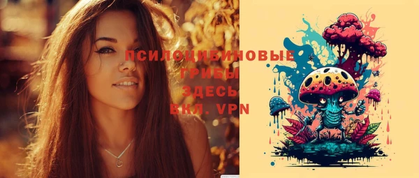 трава Медвежьегорск