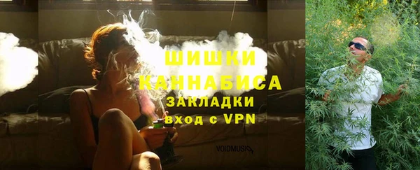 ПСИЛОЦИБИНОВЫЕ ГРИБЫ Медногорск